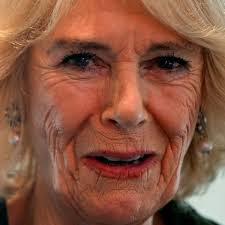 Queen Consort Camilla has Covid, says Buckingham Palace