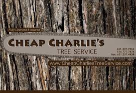 Charlie biggins diploma (hort/arboriculture) director, charlie's tree service tel 0428 246 211 email hello@charliestreeservice.com.au postal po box 155, south hobart tas 7004 www.charliestreeservice.com.au. Cheap Charlie S Tree Service Of Li Videos Facebook