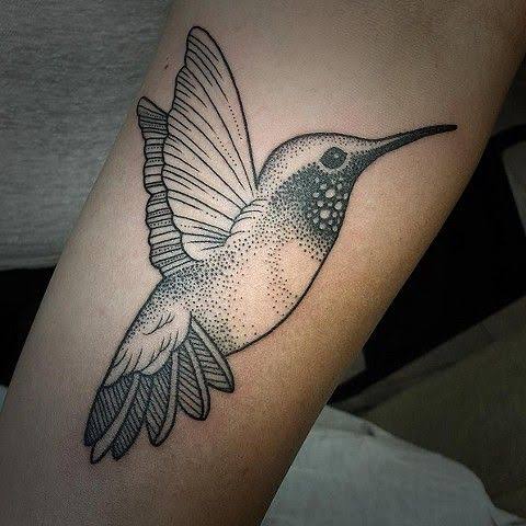Hummingbird dotwork tattoo | Disegno, Instagram, Animaux