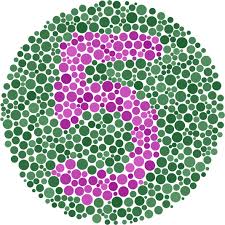When a doctor performs a color blind test, most patients do not recognize the green and red colors. Why Can T I Pass The Color Blindness Test With My Enchroma Glasses Enchroma
