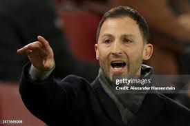 95 Alexander Tedesco Stock Photos, High-Res Pictures, and Images