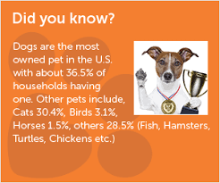 Before we go please have a look at a great article from animal planet. Ahwatukee Animal Care Hospital And Pet Resort Fun Facts About Dogs
