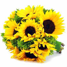 We did not find results for: Thirty Great Reasons To Send Flowers Chappell S Florist
