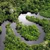 The over reproduction of the lost species food source no cooperation with that species and another that could have relied on it for food. 1