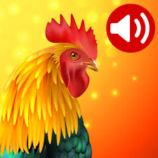 7,263 likes · 22 talking about this. Animals Ringtones Apps On Google Play