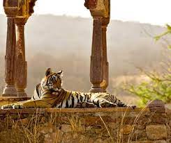 Pin On Travel India
