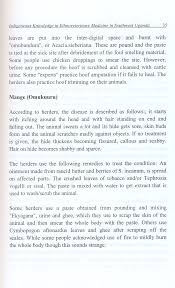 Image result for Solanecio cydoniifolius