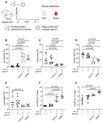 Potential of Nucleic Acid Receptor Ligands to Improve Vaccination Efficacy  against the Filarial Nematode Litomosoides sigmodontis