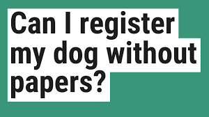 Check spelling or type a new query. Can I Register My Dog Without Papers Youtube