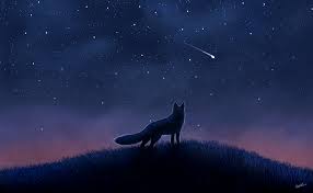 Shooting Star By Skyybi Dog Design Art Fox Art Cute Animal Drawings