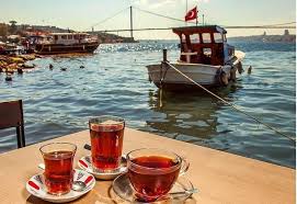 Istanbul Istanbul Cay Manzara