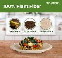 [500 COUNT]Harvest Pack 7 inch Compostable Small Paper Plates, Round  Disposable Heavy-Duty Dessert Plates, Natural Bagasse Biodegradable Small  Cake ...