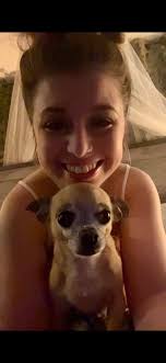 Tennessee Lost and Found Pets