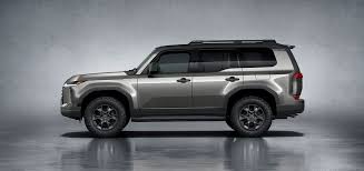 Image result for Atomic Silver 2025 LZ