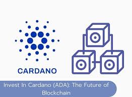 Cardano suits a number of different traders and investors. Invest In Cardano Ada The Future Of Blockchain