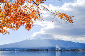 Admire Mt Fuji Other Things To Do In Kawaguchiko Japan The Petite Wanderess