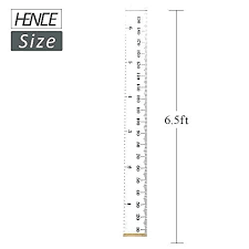 Wall Ruler Height Measurement Priceguage Co