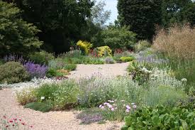 Beth Chatto Gardens In 2020 Garden Design Beth Chatto English Garden