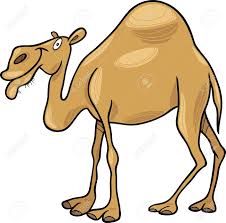 The dromedary camel originated in 35 countries from africa and asia. Cartoon Illustration Of Dromedary Camel Royalty Free Cliparts Vectors And Stock Illustration Image 9841623
