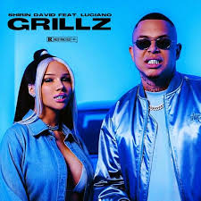 The latest tweets from @shirindavid Stream Shirin David Feat Luciano Type Beat Grillz Prod Artem By Artem Listen Online For Free On Soundcloud