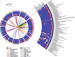 Super circuit maker is a new mod that lets you build circuits, and also place circuits in circ. Chromosome Level Genome Assembly Of Ophiorrhiza Pumila Reveals The Evolution Of Camptothecin Biosynthesis Nature Communications