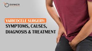 Image result for Varicocele