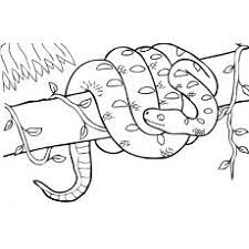 Use these images to quickly print coloring pages. Top 25 Free Printable Snake Coloring Pages Online