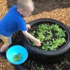 Using tires as garden containers isn't without its detractors, but we're going to set one. Upcycle Project Ideas How To Make A Used Tire Planter Hubpages