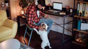 You'll probably work from home if you work remotely. The Benefits Of Working From Home Marketwatch