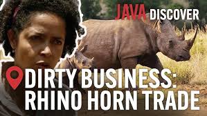 Rhino Poaching Horn Removal — 'Hope for the Rhino' Campaign