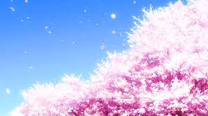 Hd sakura tree live wallpaper. Sakura Blossom Wallpaper Gif