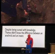 Despite Being Cursed With Knowledge Thanos Didn T Know The Difference Between An Arachnid And An Insect Ifunny Marvel Funny Marvel Memes Marvel Jokes