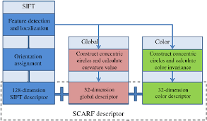 Shape Color Alliance Robust Feature Scarf Flow Chart