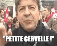 Search, discover and share your favorite melenchon gifs. Melenchon Reaction Gifs Get The Best Gif On Giphy