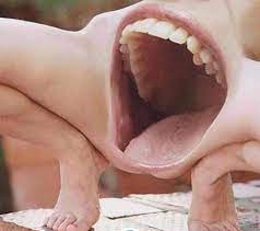 Create Meme Part Of The Face Mouth Mouth Pictures Meme Arsenal Com