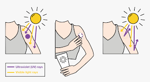 While it has some benefits for people, including the creation of vitamin d, it also can cause health risks. How Spot Works Sunburn Uv Rays Clipart Hd Png Download Kindpng