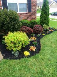 Beautiful Flowerbed Black Mulch Made A Big Difference Landscaping Ideas Front Yard Landscaping Design Home Landscaping Farmhouse Landscaping