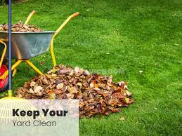 Your gardens, no matter how big or small can be a prime location for rodents to inhabit. How To Get Rid Of Crows 12 Easy Methods With Pictures