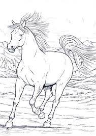 Hundreds of free spring coloring pages that will keep children busy for hours. Wild Horse In Running In Horses Coloring Page Netart