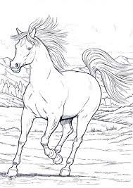 Search through more than 50000 coloring pages. Wild Horse In Running In Horses Coloring Page Netart