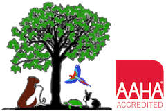 Maybe you would like to learn more about one of these? Como Park Animal Hospital Investing In A Longer Healthier Life For Your Pet