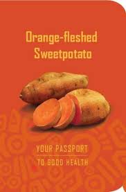 Our 'attic' has 4 unverified meanings for ofsp. Ofsp Passport 2018 Sweetpotato Knowledge Portal