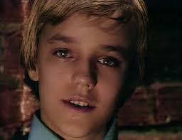 Episode 913/914: Death and Taxidermy