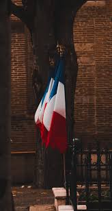 Jump to navigation jump to search. 100 French Flag Pictures Download Free Images On Unsplash