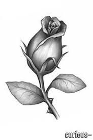 Yellow rose tattoo on the calf. Drawing Rose Bud Google Haku Flower Drawing Rose Buds Drawing Drawings