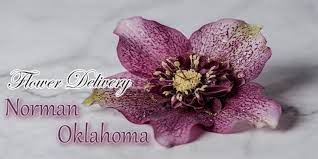 You can see how to get to shaboo flowers & gifts on our website. The 8 Best Options For Flower Delivery In Norman Oklahoma 2021