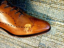 Orange, yellow, green, blue, indigo, and violet. The Tip How To Avoid And Fix Stains From Hand Sanitisers Shoegazing Com