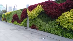 Pin On Vertical Garden