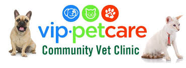 The prospect of putting your pet through a surgery can be daunting. Vip Pet Care Clinic Cranford Online