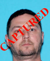 Crystal Novotny's Instagram, Twitter & Facebook